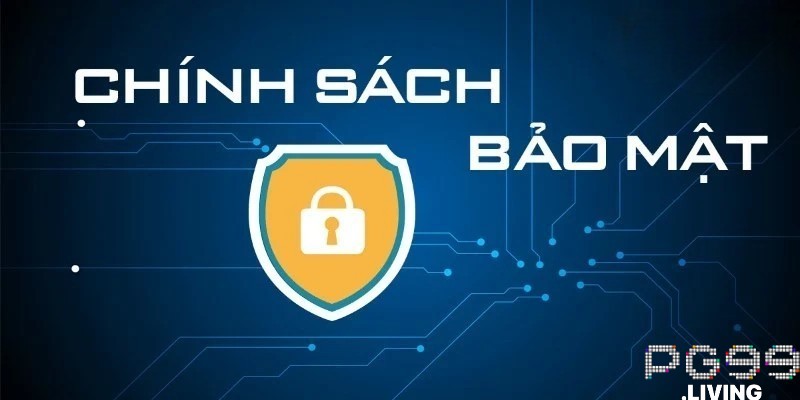 Quy định của chính sách bảo mật với hành vi gian lận