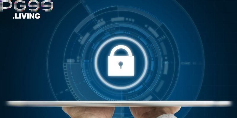 Giải pháp web cược đang sử dụng